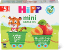 HiPP MINI DESSERTS APRICOT, APPLE